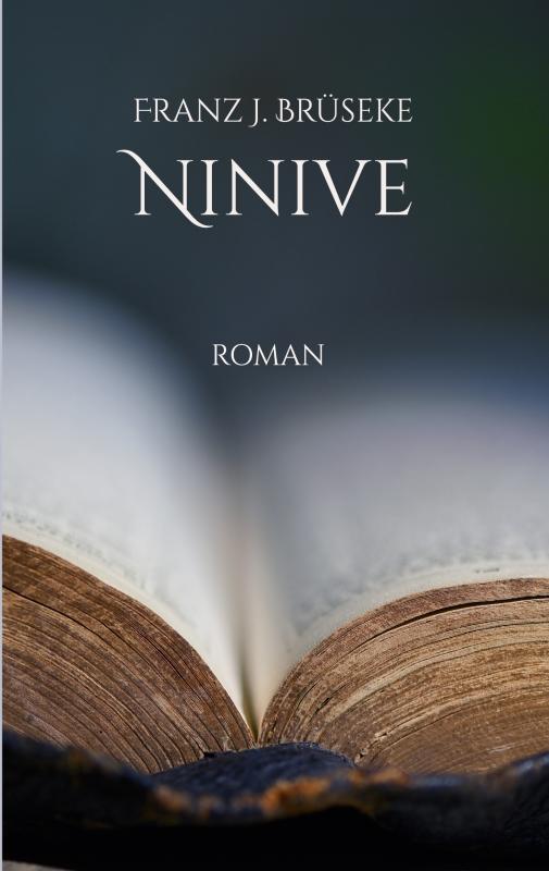 Capa de Ninive oder das Wichtigste, romance